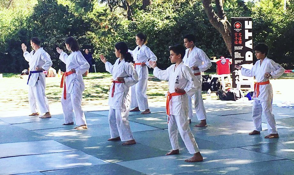 Karate Toulouse