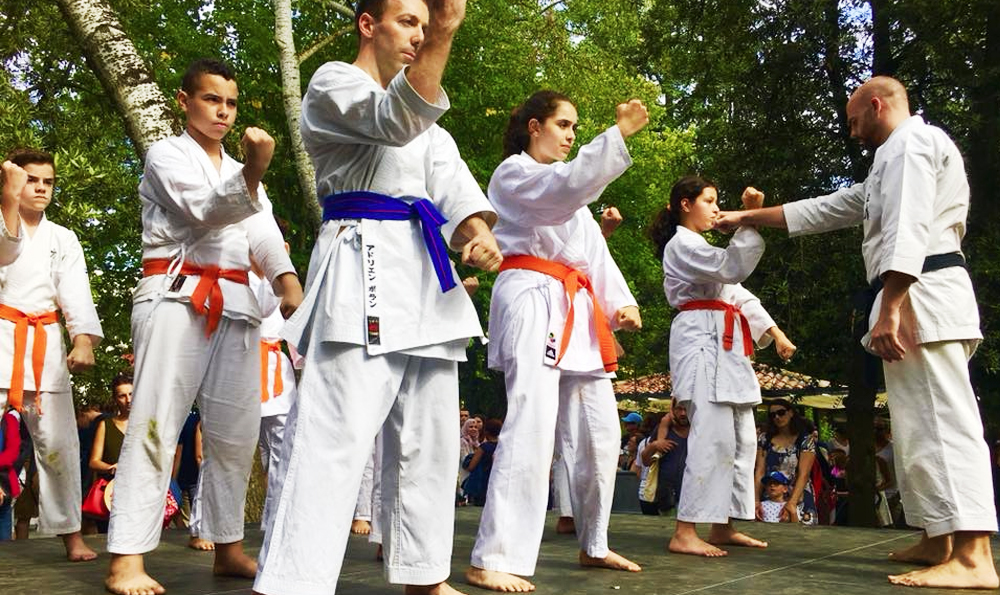 Karate Toulouse